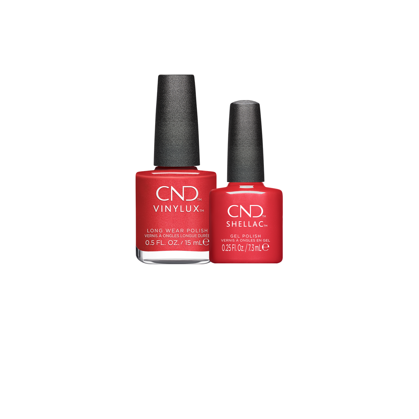 QUEEN-TESSENTIAL- HOLIDAY 2024 COLLECTION