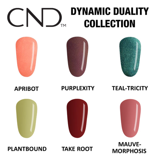 Dynamic Duality Fall Collection Set