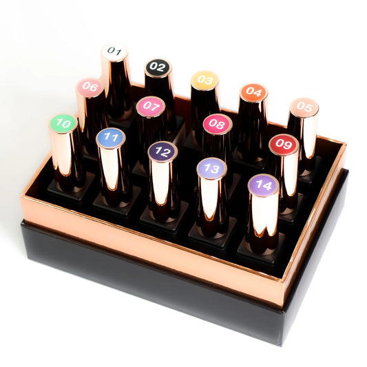 HNS - PRO GEL ART ( MASTER BASIC )