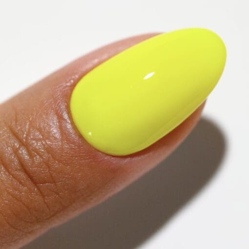 DND DC Matching Pair - Free Spirit Collection - 2517 Sunbeam