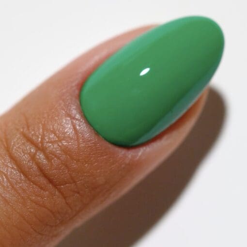 DND DC Matching Pair - Free Spirit Collection - 2525 Zen Oasis