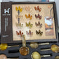 Cat Eye Fall Collection – 12 Colors | Seasonal Magnetic Gel Set