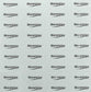 Disposable Flash Shiner 36pcs