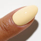 DND DC Matching Pair - Free Spirit Collection - 2509 Gimmie’ Butter