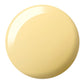 DND DC Matching Pair - Free Spirit Collection - 2509 Gimmie’ Butter