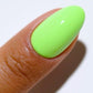 DND DC Matching Pair - Free Spirit Collection - 2520 Area 51