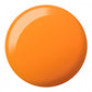 DND DC Matching Pair - Free Spirit Collection - 2540 Orange Soda