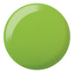DND Duo Matching Color - Retro Earth-Scape Collection - Sodalightful Lime #996